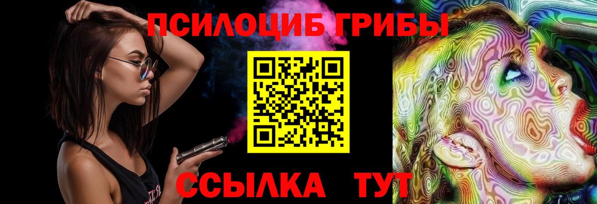 Галлюциногенные грибы ЛСД  Псилоцибиновые грибы мицелий  Вход с VPN  Новоалтайск 